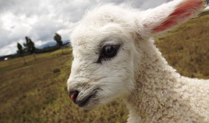 First minutes of&nbsp;life