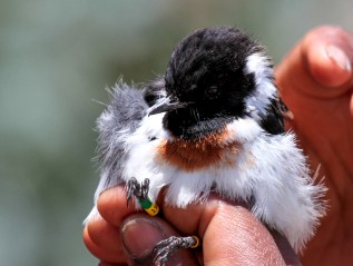 Slow and fast pace of&nbsp;life